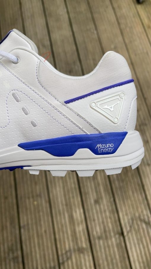 Mizuno Wave Hazard Pro Golf Shoes